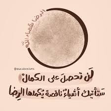 محمود العامرى