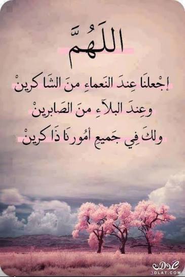 صورة السيرة الذاتية