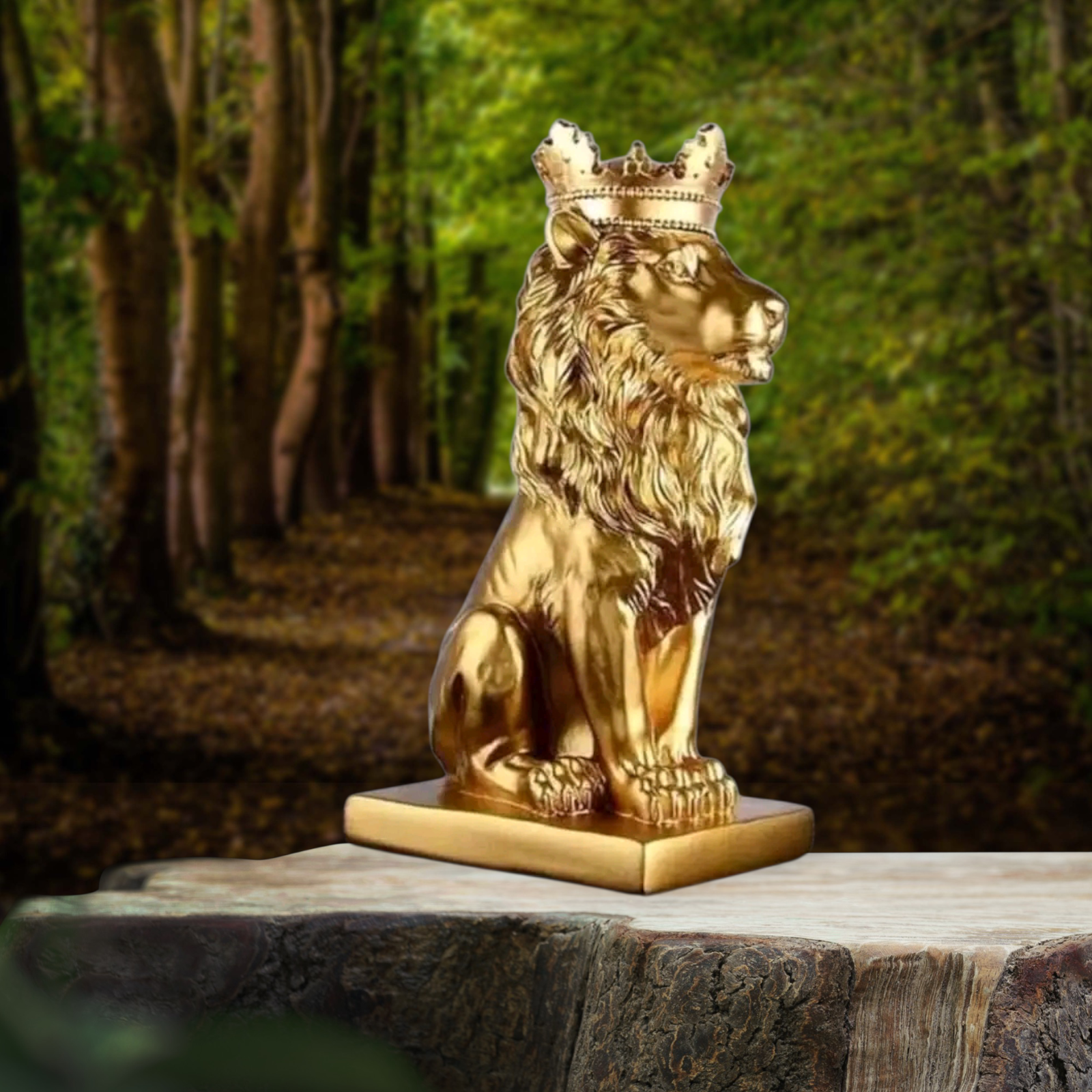 صورة السيرة الذاتية